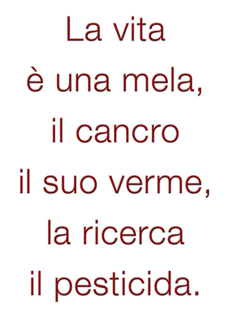 Vincitori_cat.testo_Una Metafora per la Ricerca 2010-11