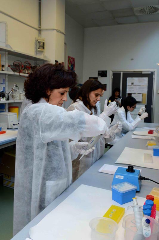 AIRC – Premiazione Metafora per la Ricerca 2013