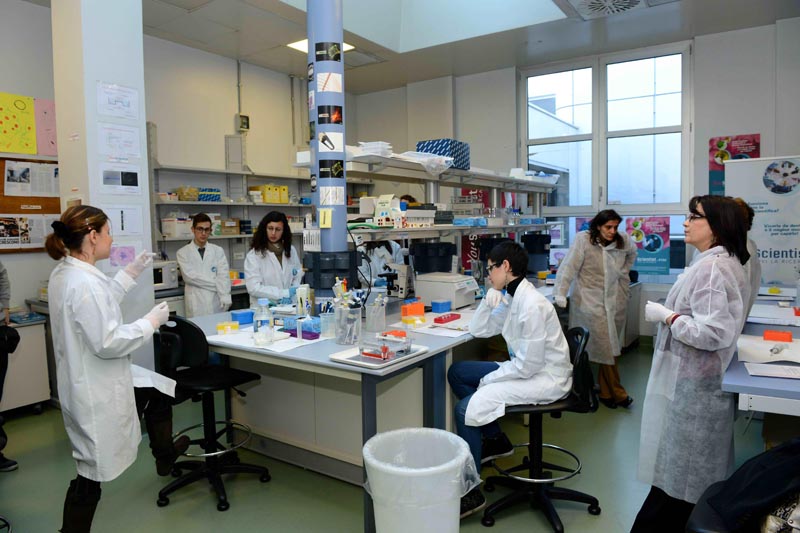 AIRC – Premiazione Metafora per la Ricerca 2013