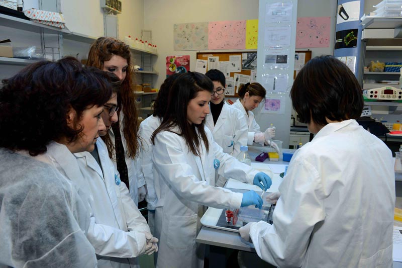 AIRC – Premiazione Metafora per la Ricerca 2013