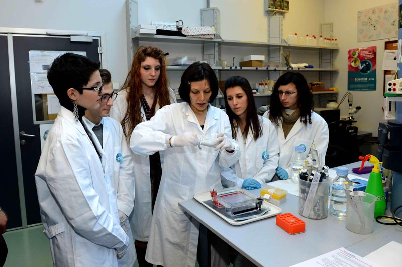 AIRC – Premiazione Metafora per la Ricerca 2013
