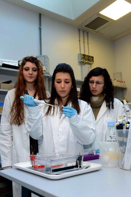 AIRC – Premiazione Metafora per la Ricerca 2013
