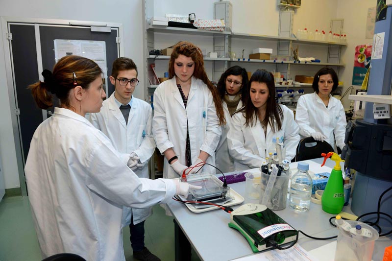 AIRC – Premiazione Metafora per la Ricerca 2013