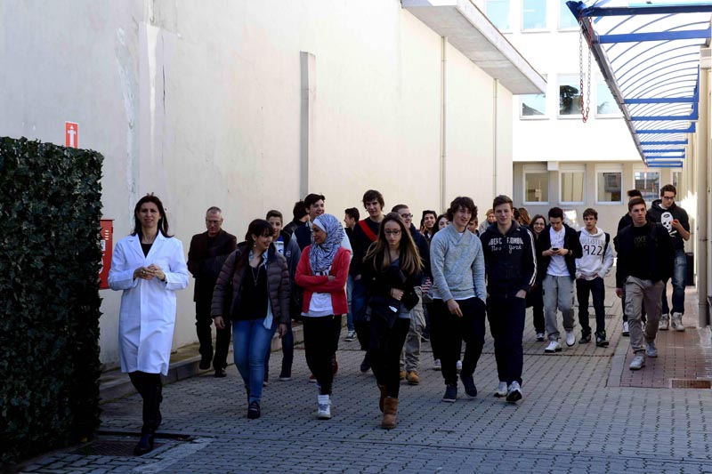 AIRC – Premiazione Metafora per la Ricerca 2013