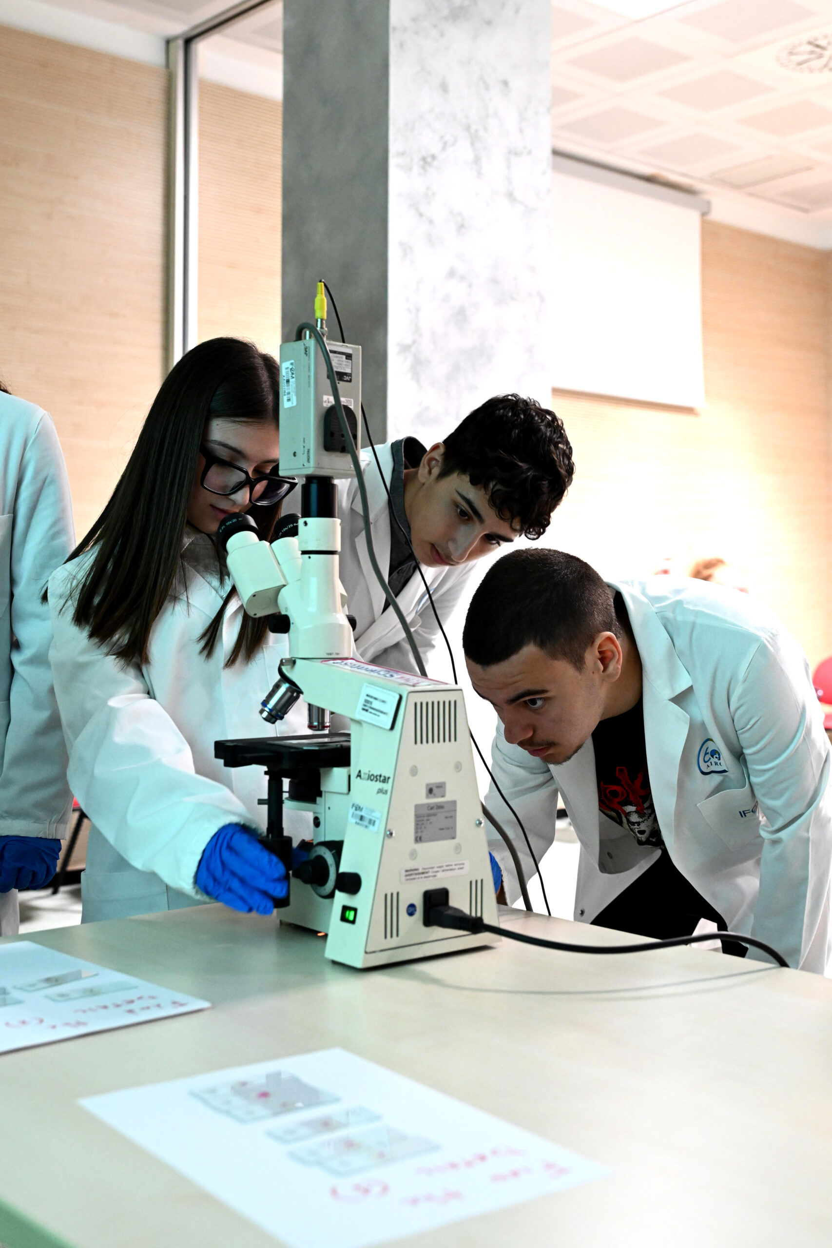 Fondazione AIRC – Isola dei Fumosi 2025.