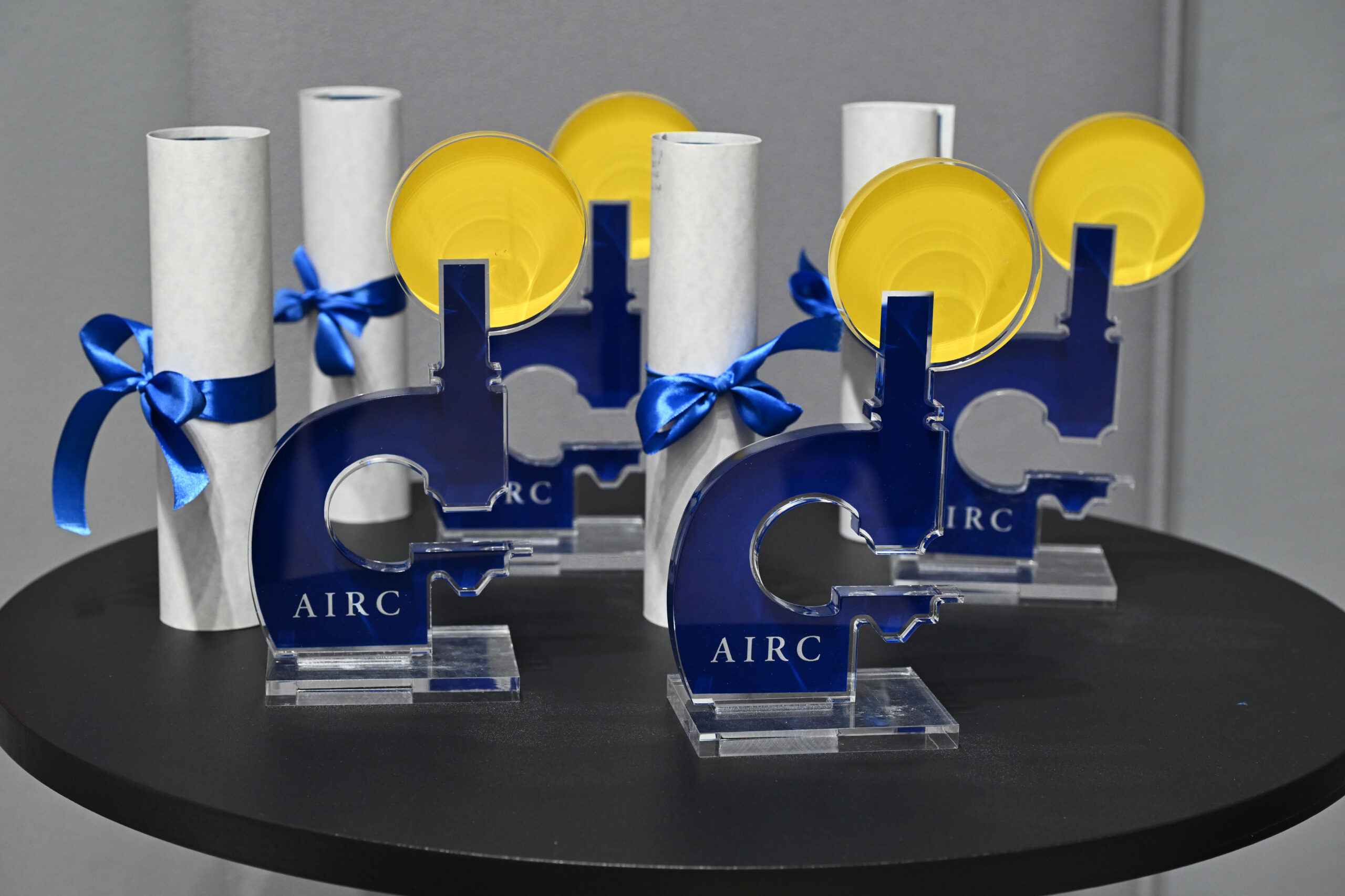 Contest AIRC nelle scuole: scopri tutti i vincitori 24-25!