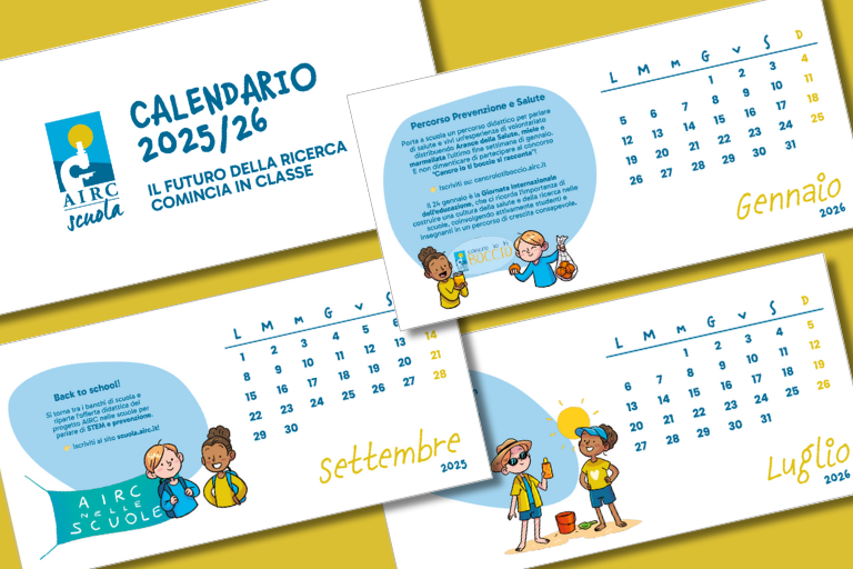 preview kit_calendario25-26